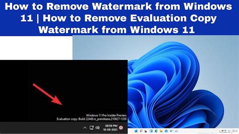 Remove Watermark Pro for Windows